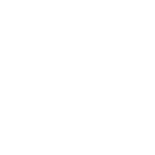 Caring Expert IT Support Icon White - SystemsNet