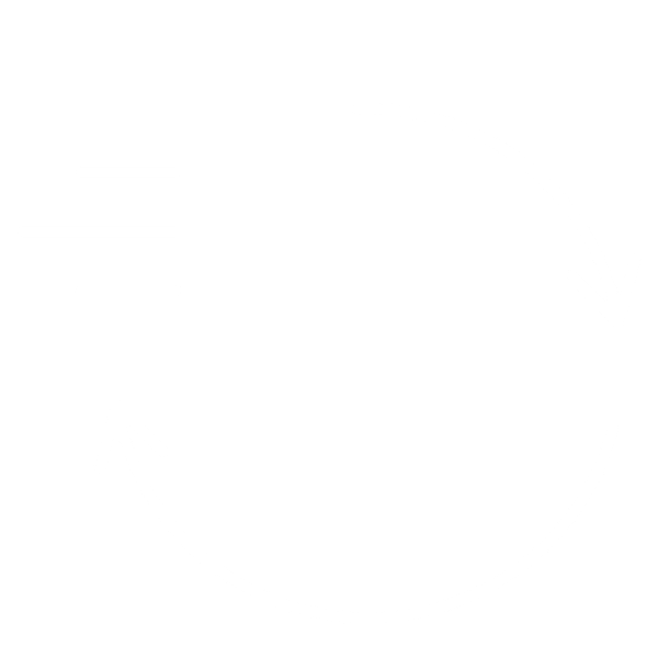 Fast IT Support Icon White – SystemsNet