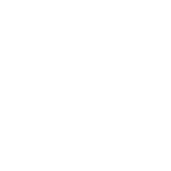 IT Strategy & Budgeting Icon White – SystemsNet