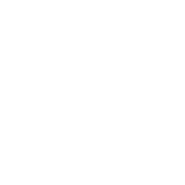 IT Compliance Icon
