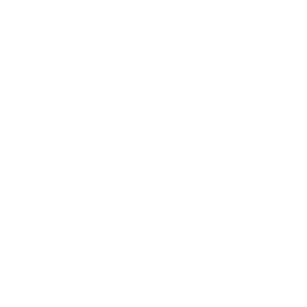 MFA & 2FA Access Security Icon