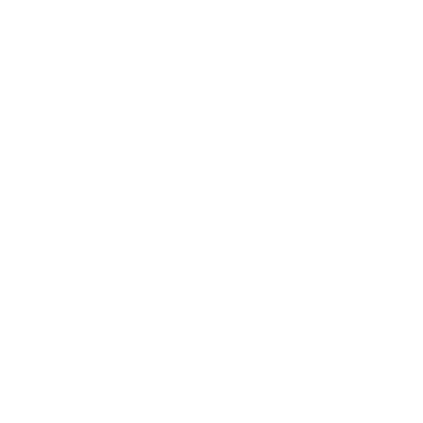 Secure Access Points Icon White – SystemsNet