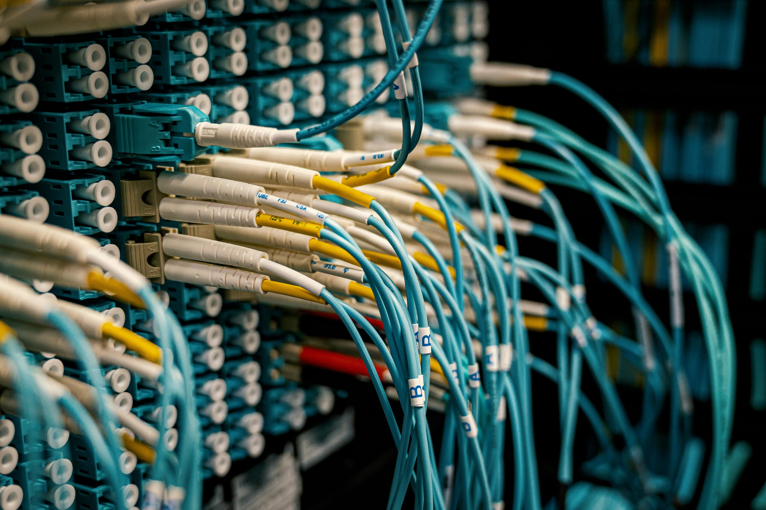 Labeled fiber optic cables plugged into a network patch panel