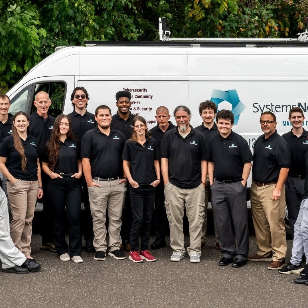About SystemsNet – Managed IT Services Company